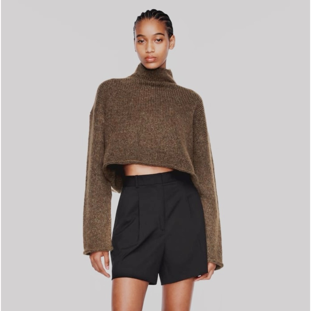 NWT Zara Pleated High Waist Shorts